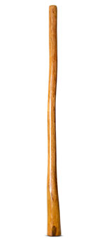 Gloss Finish Flared Didgeridoo (TW1433)